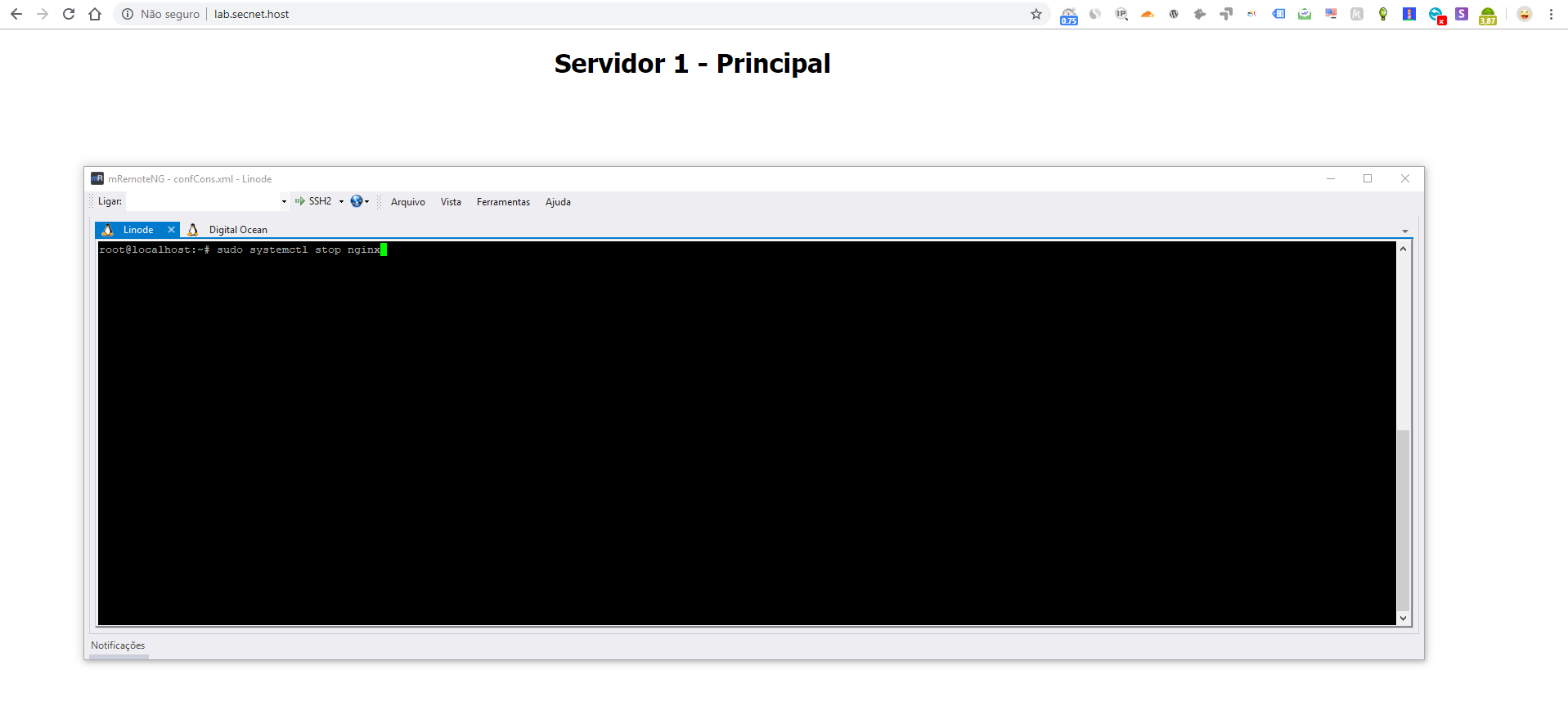 Como usar equilíbrio de carga entre dois servidores - SECNET